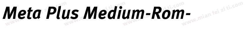 Meta Plus Medium-Rom字体转换